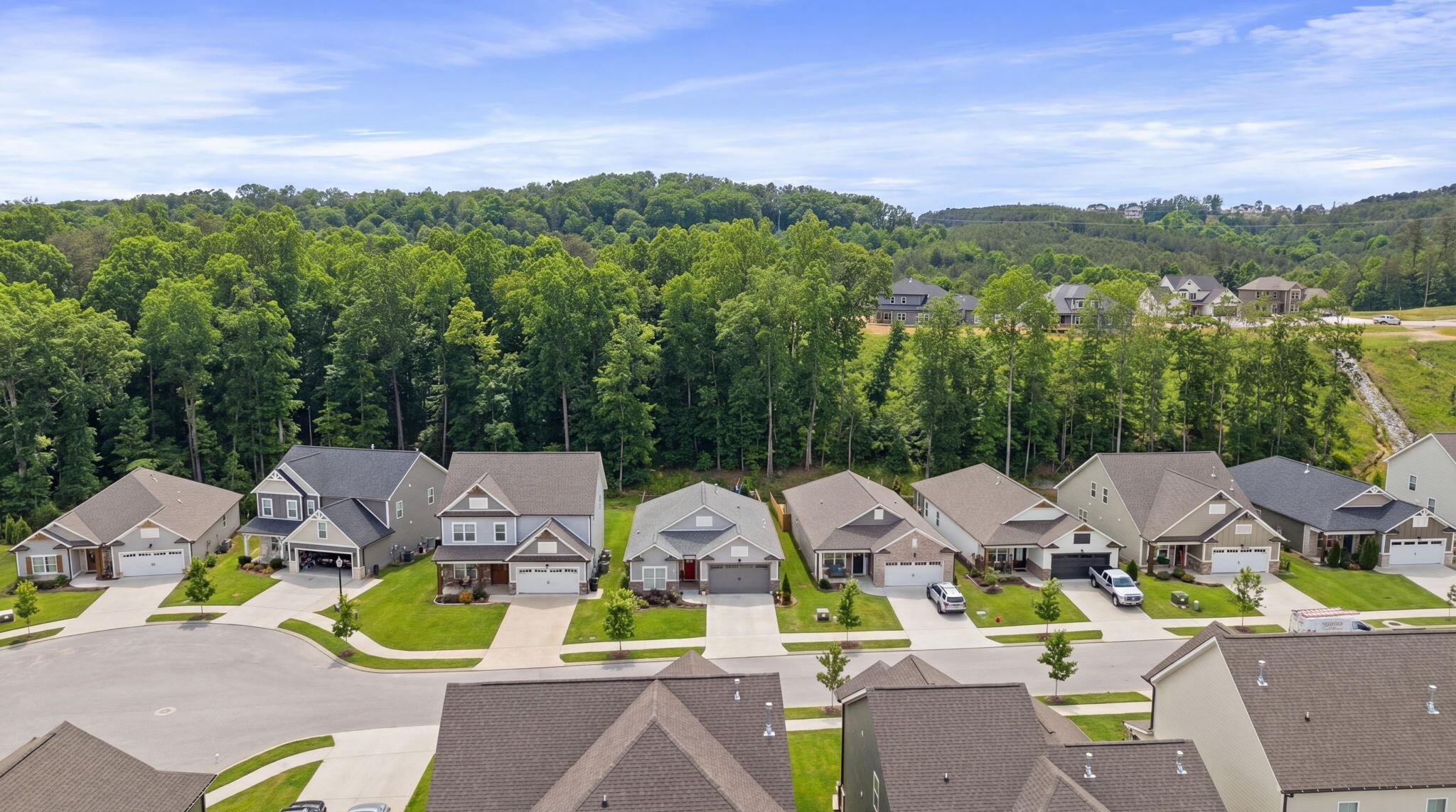 3561 Haystack Lane Apison, TN 37302 - Photo 38 of 49 3561 Haystack Ln