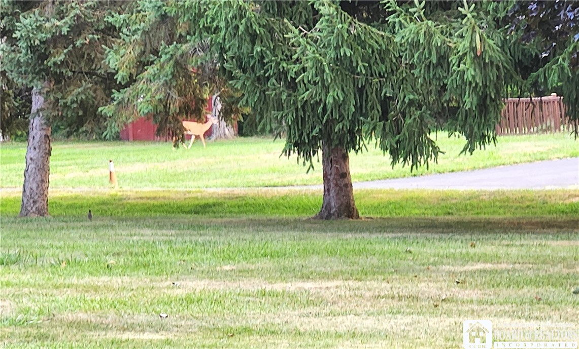 4539 Berry Road Pomfret, NY 14063 - Photo 34 of 34