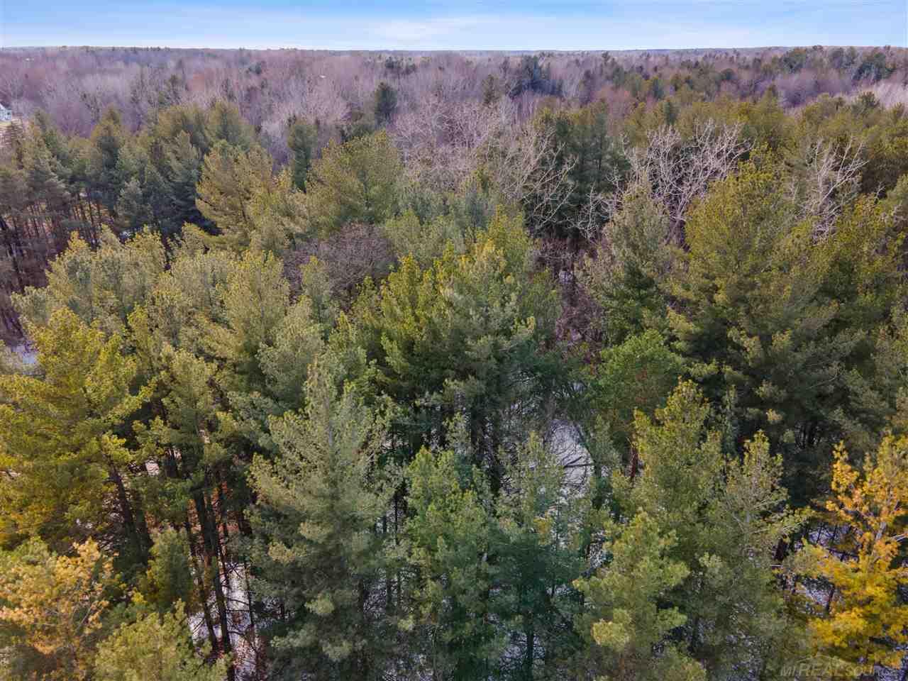 Werner Road Columbus, MI 48063 - Photo 3 of 14