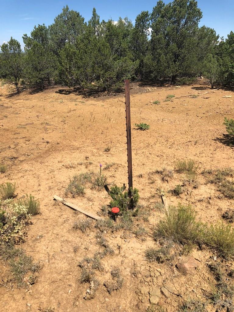 Lot 30 Silver Spur Road Walsenburg, CO 81089 - Photo 35 of 36 Gallery Image 35