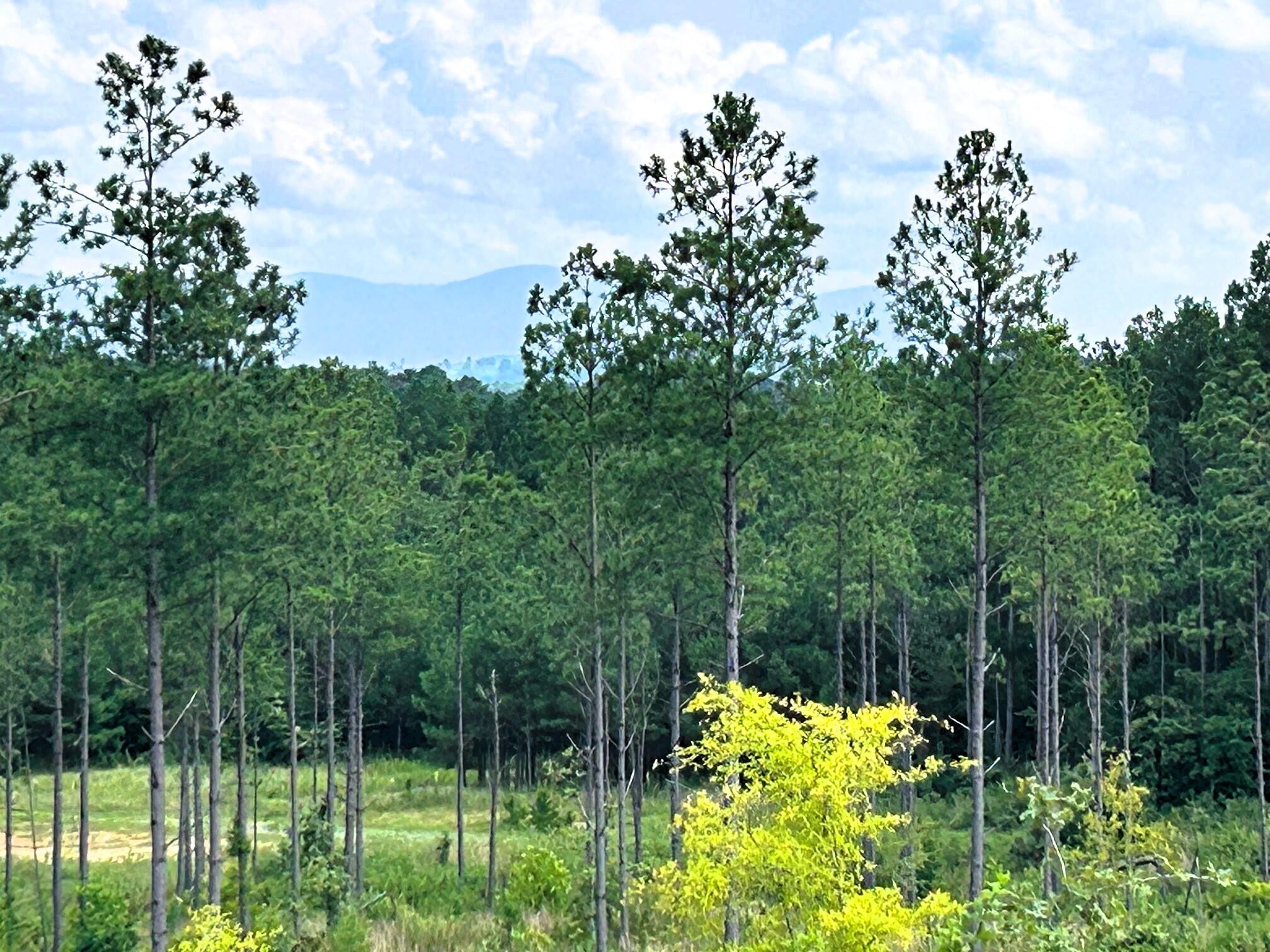 18 Hughes Lake Road Southeast Cleveland, TN 37323 - Photo 5 of 32