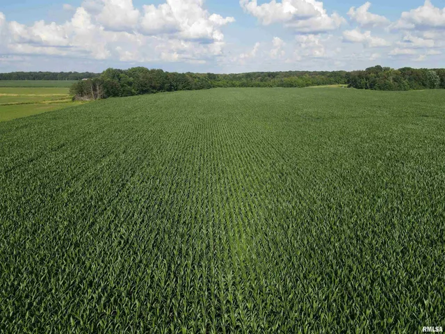 $1,290,000 | 0 East County Road 900 Road, Montrose, IL 62445