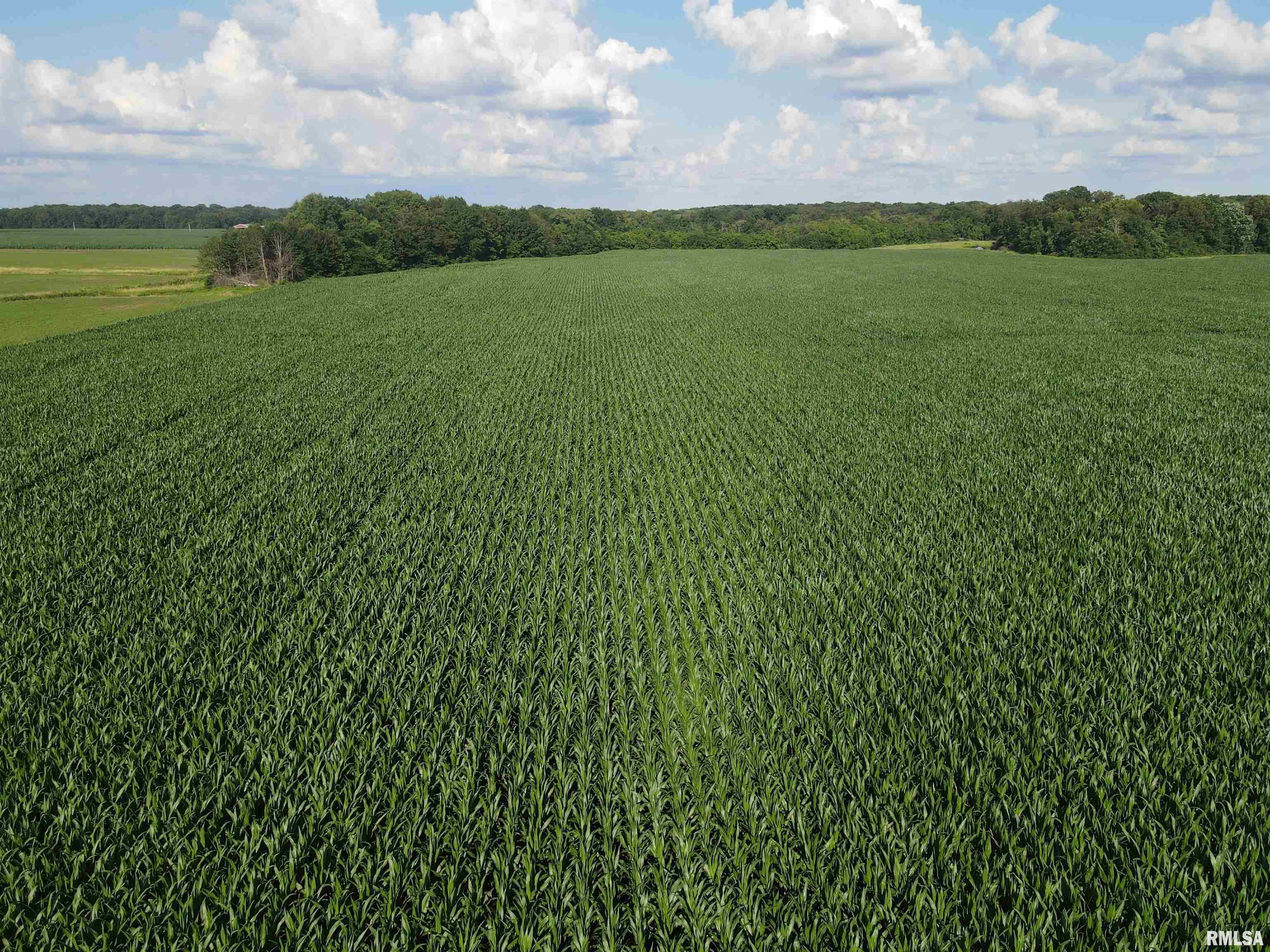 0 East County Road 900 Road Montrose, IL 62445 - Photo 11 of 18