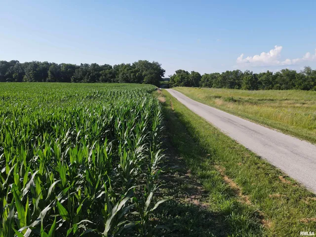 $1,290,000 | 0 East County Road 900 Road, Montrose, IL 62445