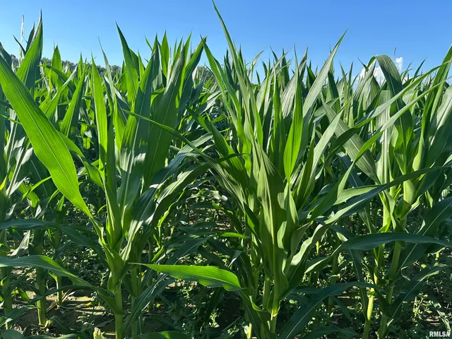 $1,290,000 | 0 East County Road 900 Road, Montrose, IL 62445