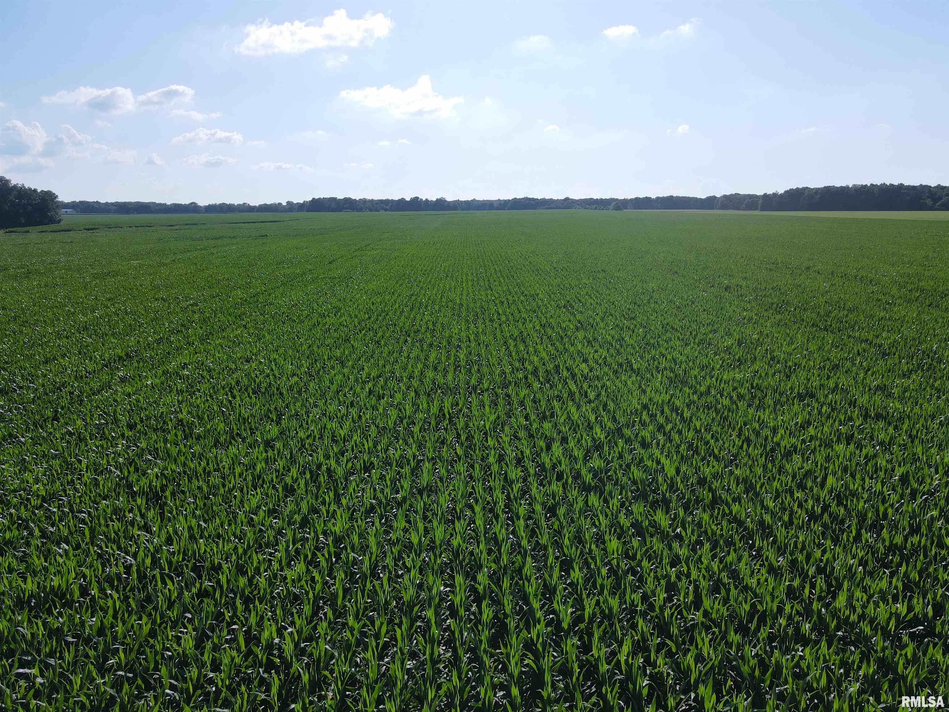 0 East County Road 900 Road Montrose, IL 62445 - Photo 2 of 18