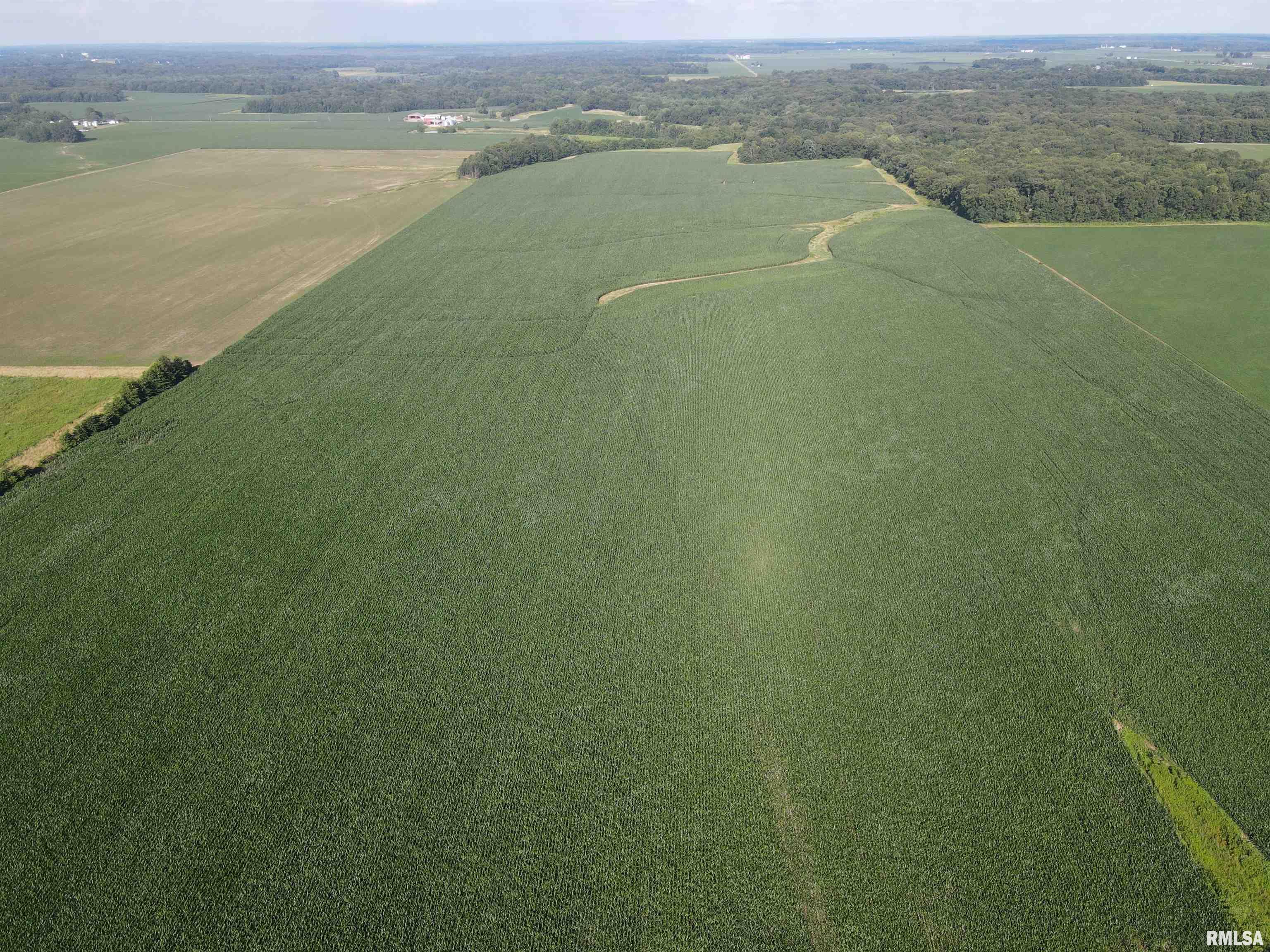 0 East County Road 900 Road Montrose, IL 62445 - Photo 3 of 18