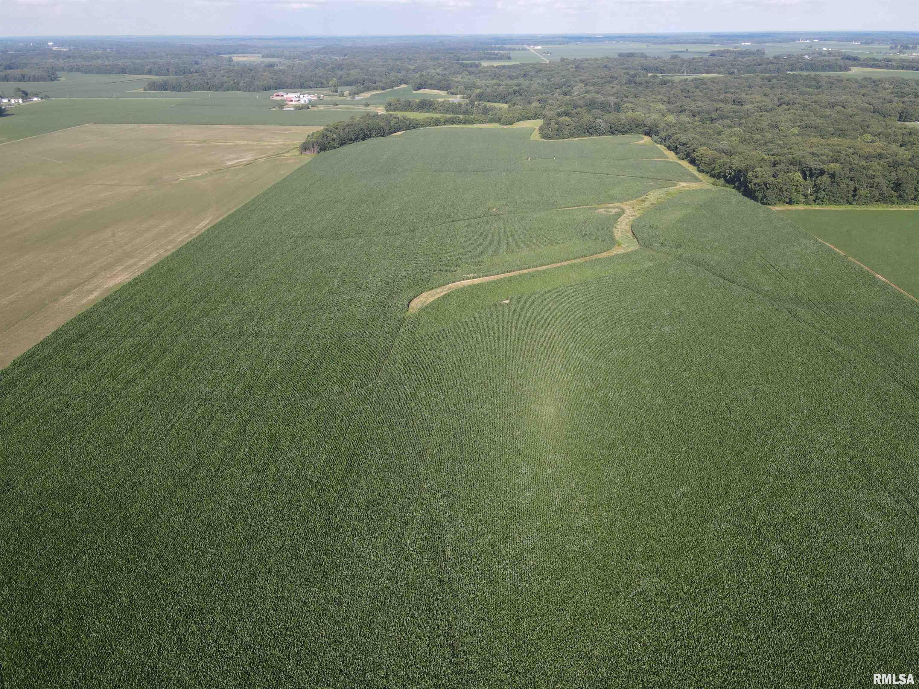 0 East County Road 900 Road Montrose, IL 62445 - Photo 4 of 18