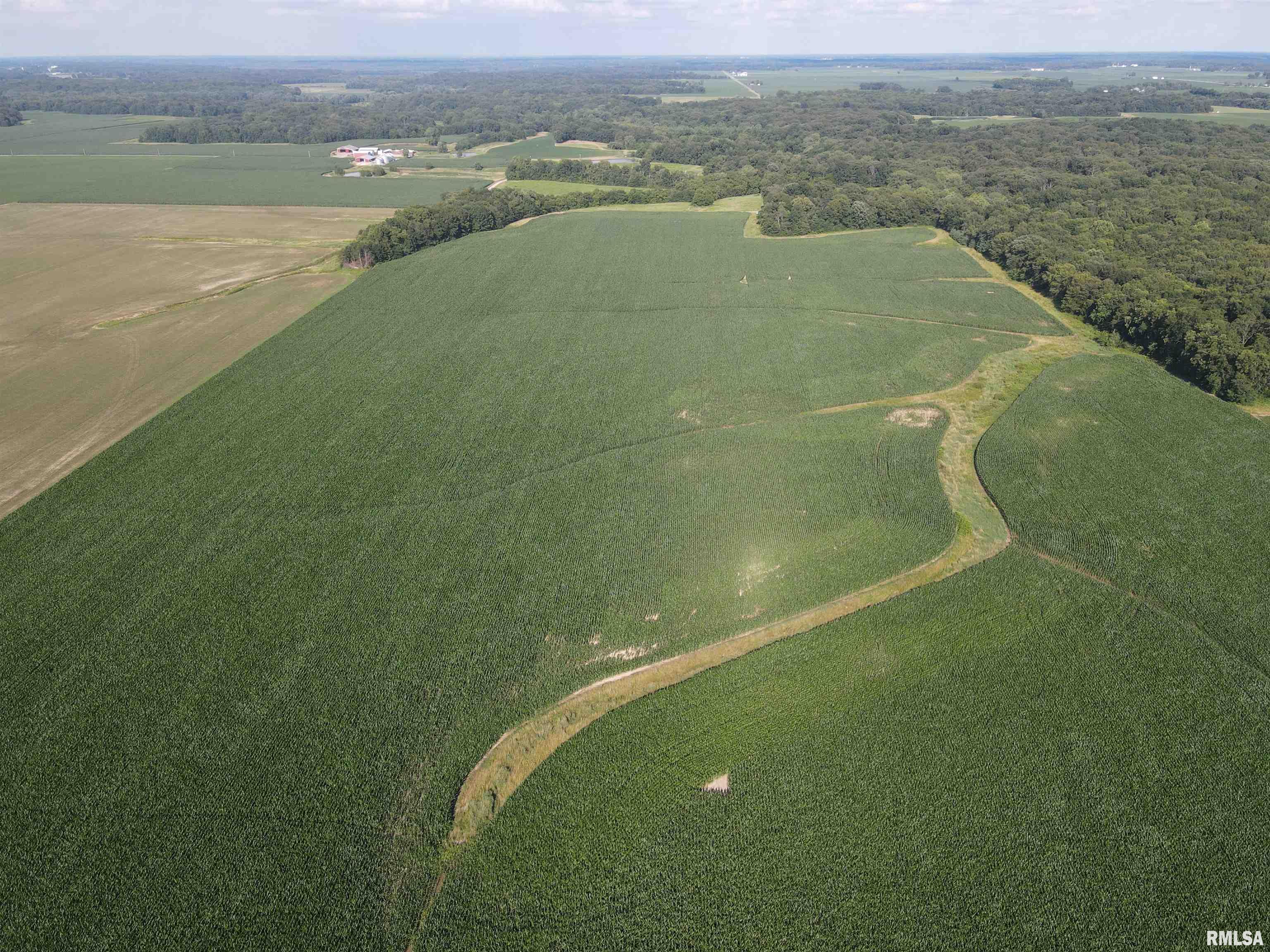 0 East County Road 900 Road Montrose, IL 62445 - Photo 5 of 18