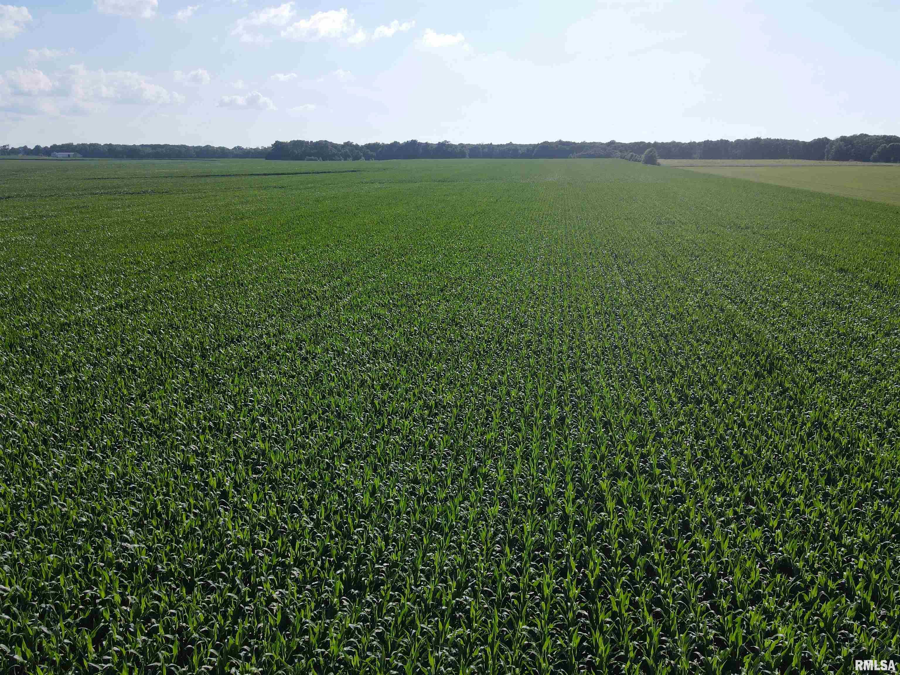 0 East County Road 900 Road Montrose, IL 62445 - Photo 8 of 18