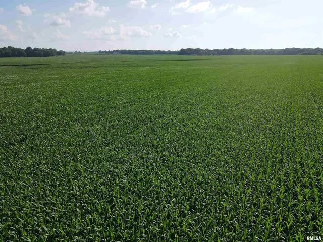 $1,290,000 | 0 East County Road 900 Road, Montrose, IL 62445