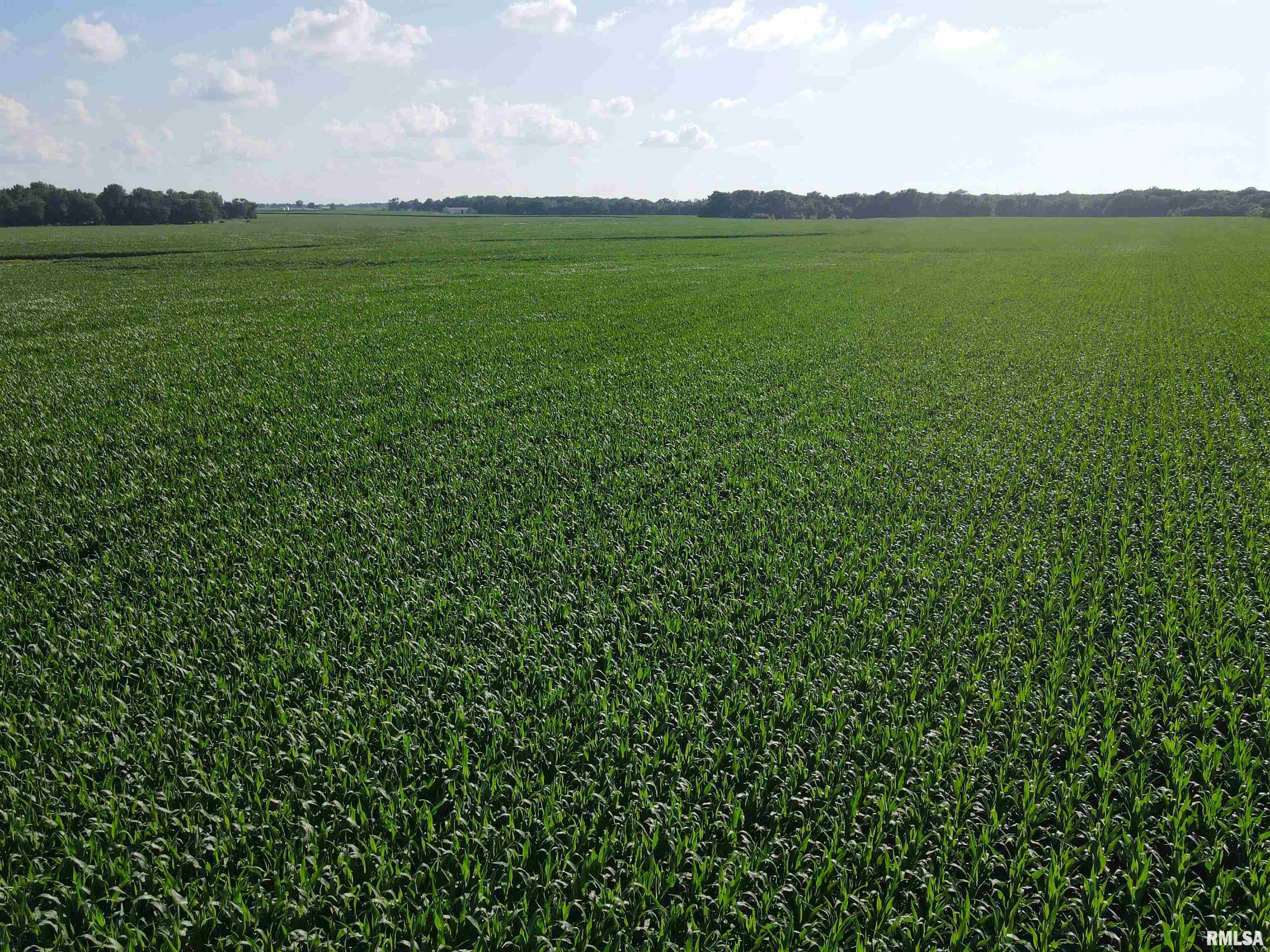 0 East County Road 900 Road Montrose, IL 62445 - Photo 10 of 18