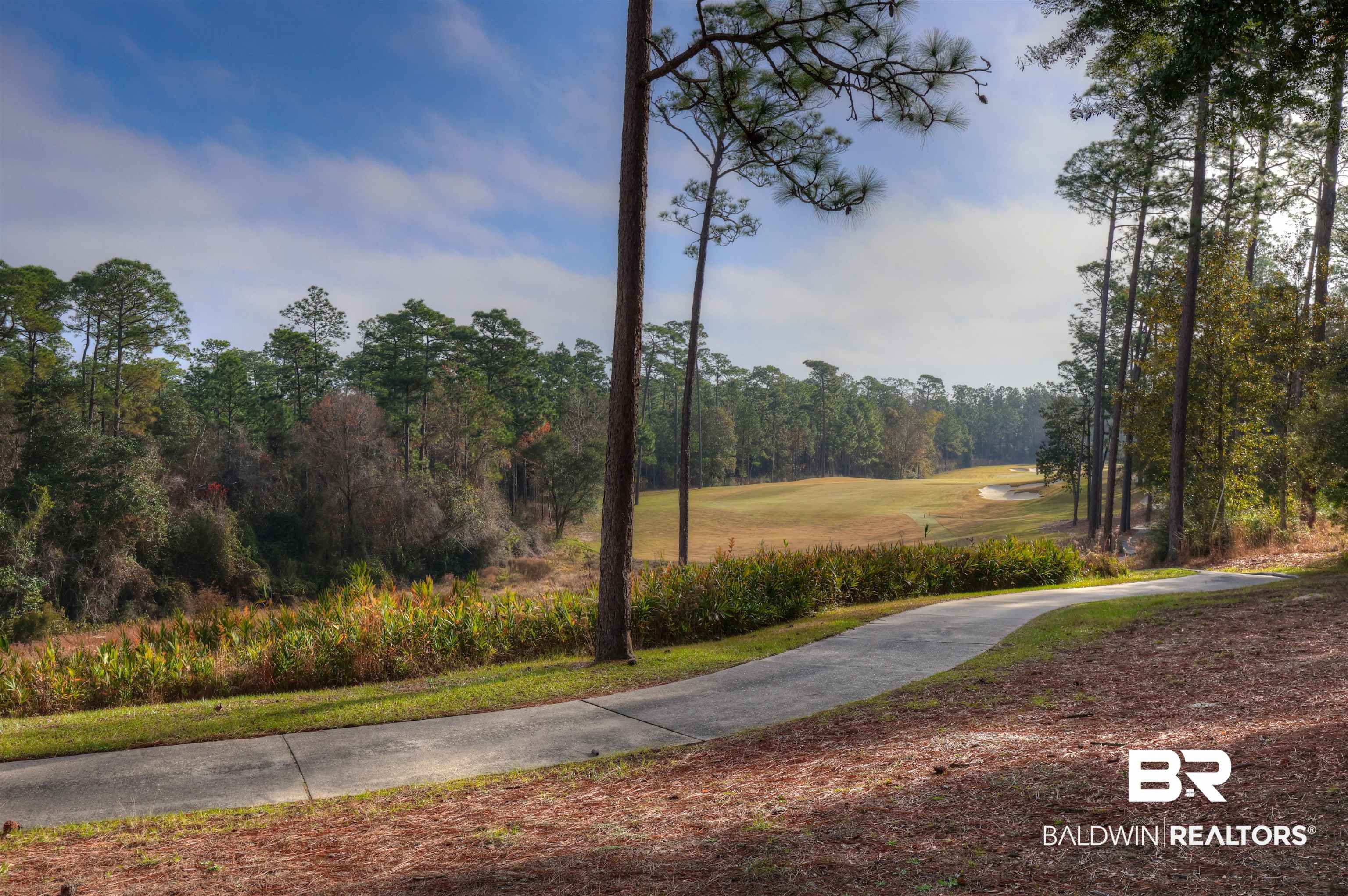 33760 Steelwood Ridge Road, Unit 3 Loxley, AL 36551 - Photo 13 of 25