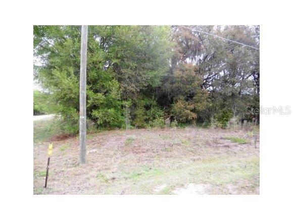 Lot 27 Southwest Lot Lane Dunnellon, FL 34432 - Photo 1 of 1 a view of a yard