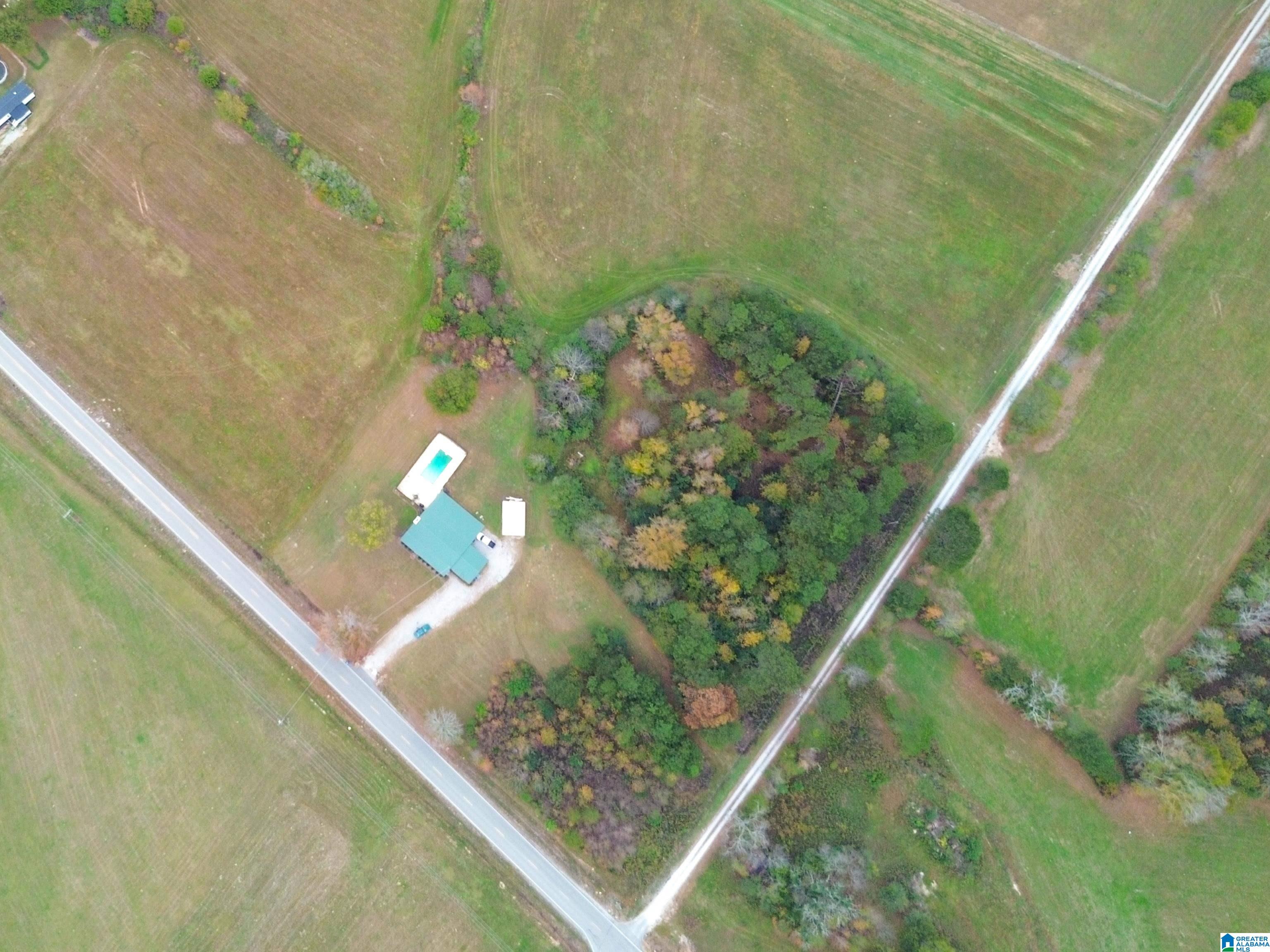 6070 Roy Webb Road Piedmont, AL 36272 - Photo 52 of 68