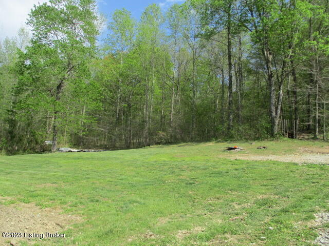 5390 Nelsonville Road Boston, KY 40107 - Photo 12 of 30 IMG_1763