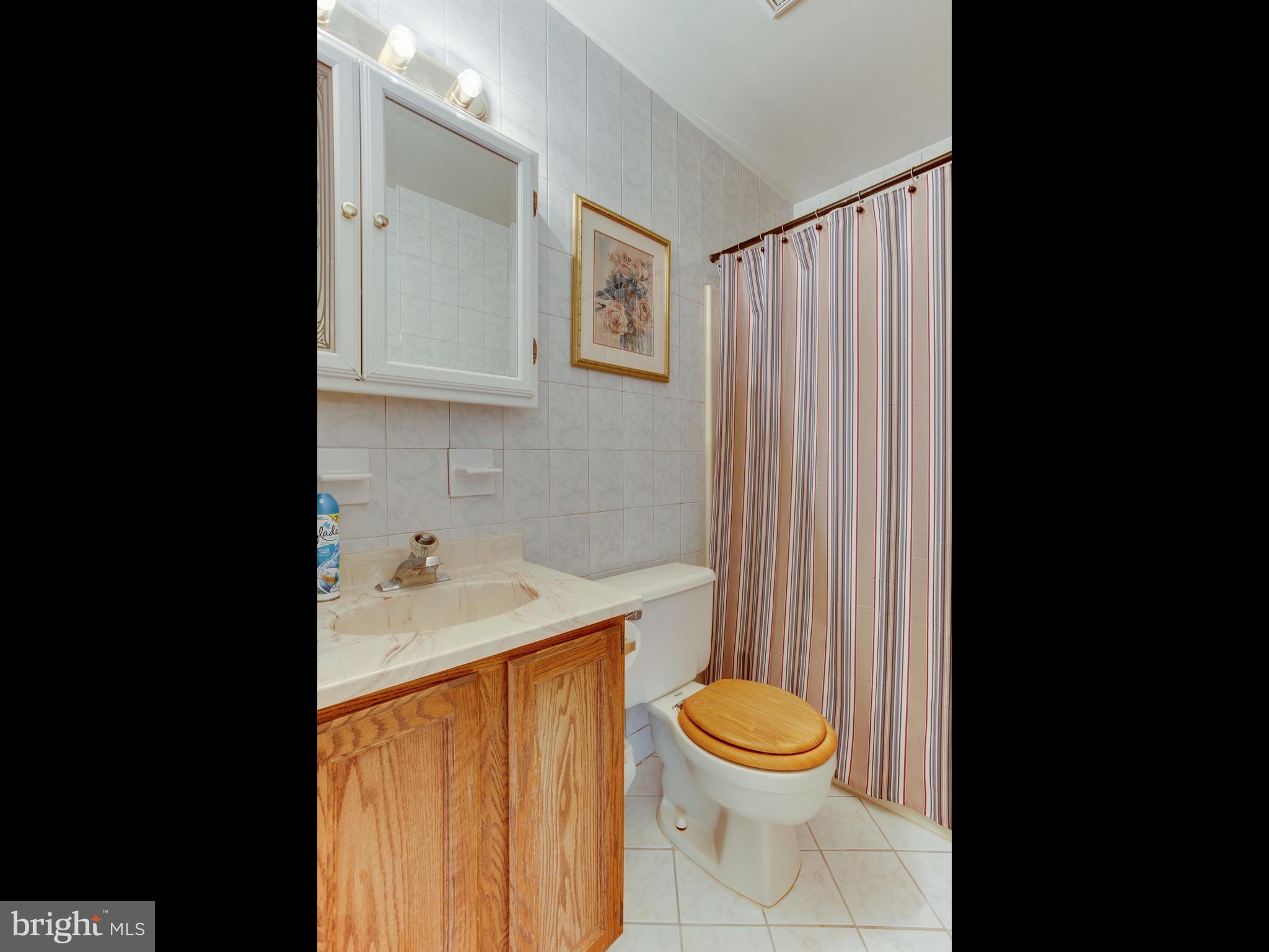 3100 Holland Cliffs Road Huntingtown, MD 20639 - Photo 31 of 44 a bathroom with a sink a toilet and shower curtain