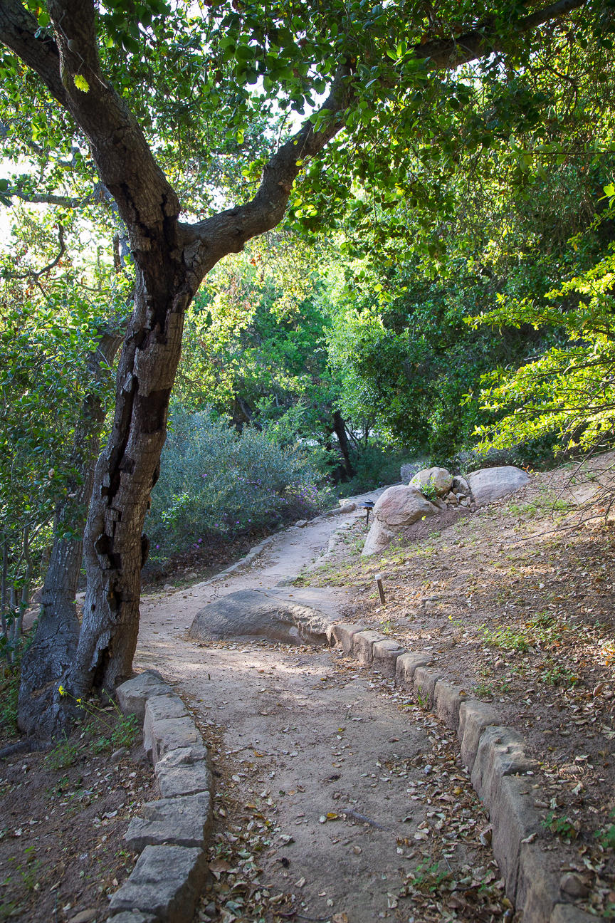 1213 Viscaino Road Santa Barbara, CA 93103 - Photo 19 of 22 a view of a dirt road with a trees