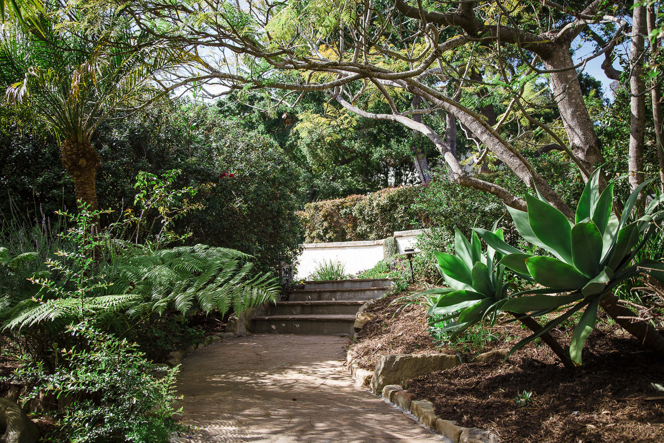 1213 Viscaino Road Santa Barbara, CA 93103 - Photo 20 of 22 a view of a yard with plants and large trees