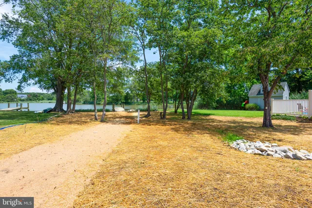a view of a house with a yard and tree s