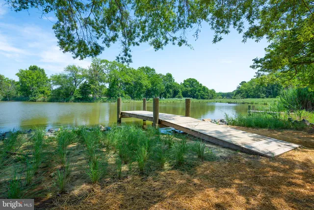 a view of a lake with a garden