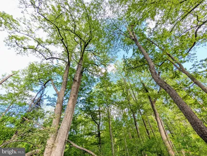 $230,000 | 3964 Hidden Valley Lane, Linden, VA 22642