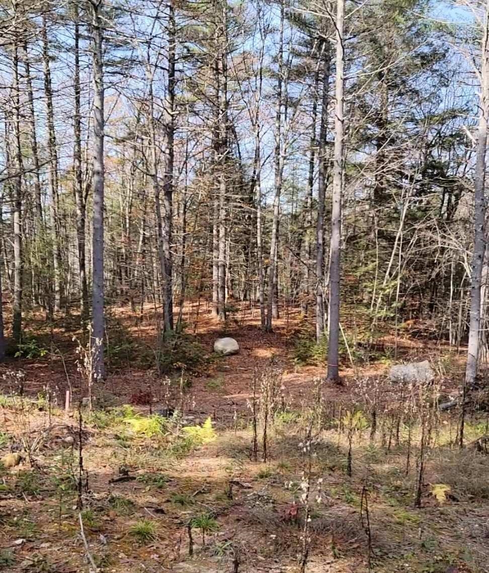 0 Davis Hill Road, Unit 52 Center Conway, NH 03813 - Photo 15 of 17 Gallery Image 15
