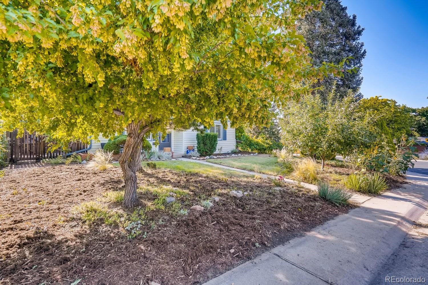 4165 Jay Street Wheat Ridge, CO 80033 - Photo 3 of 27 Gallery Image 3