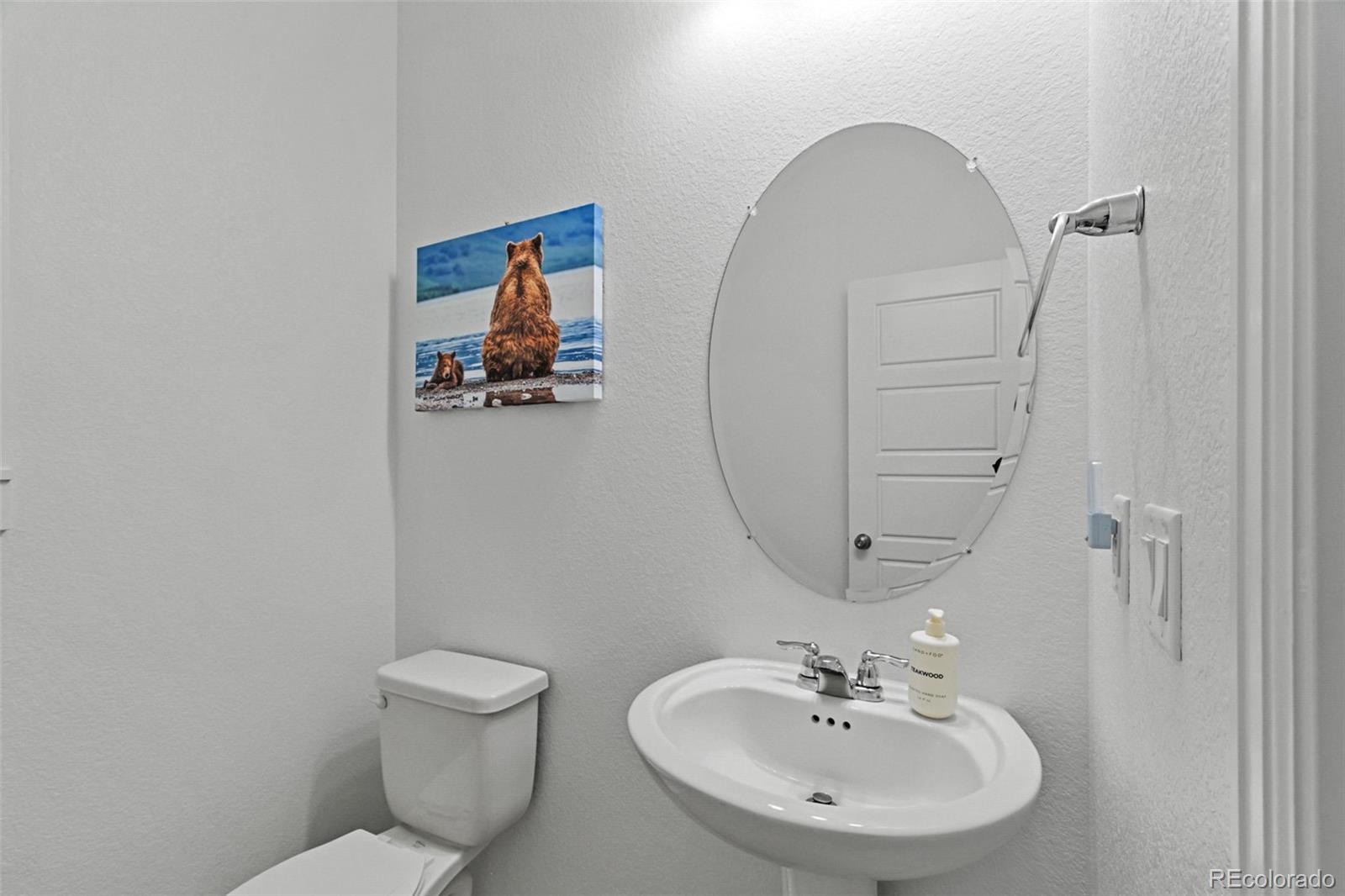 9753 Middle Peak Street Littleton, CO 80125 - Photo 19 of 41 a bathroom with a toilet a sink and mirror