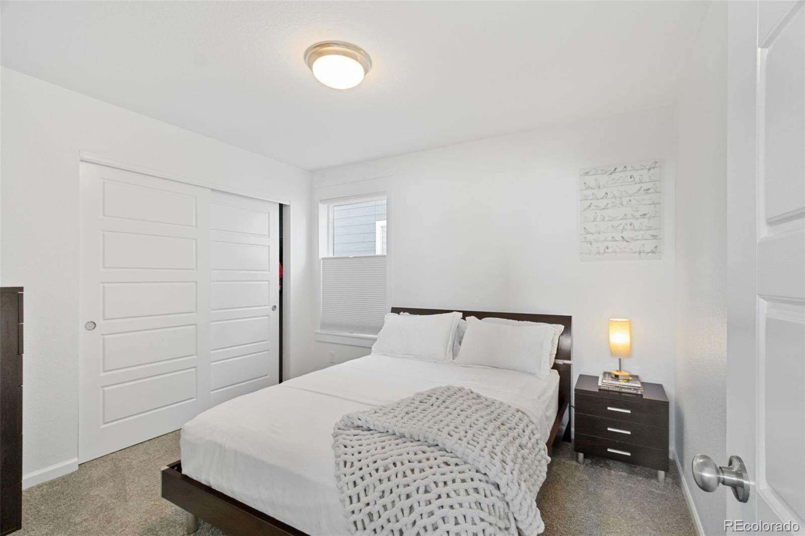 9753 Middle Peak Street Littleton, CO 80125 - Photo 28 of 41 a bedroom with a bed and cabinets
