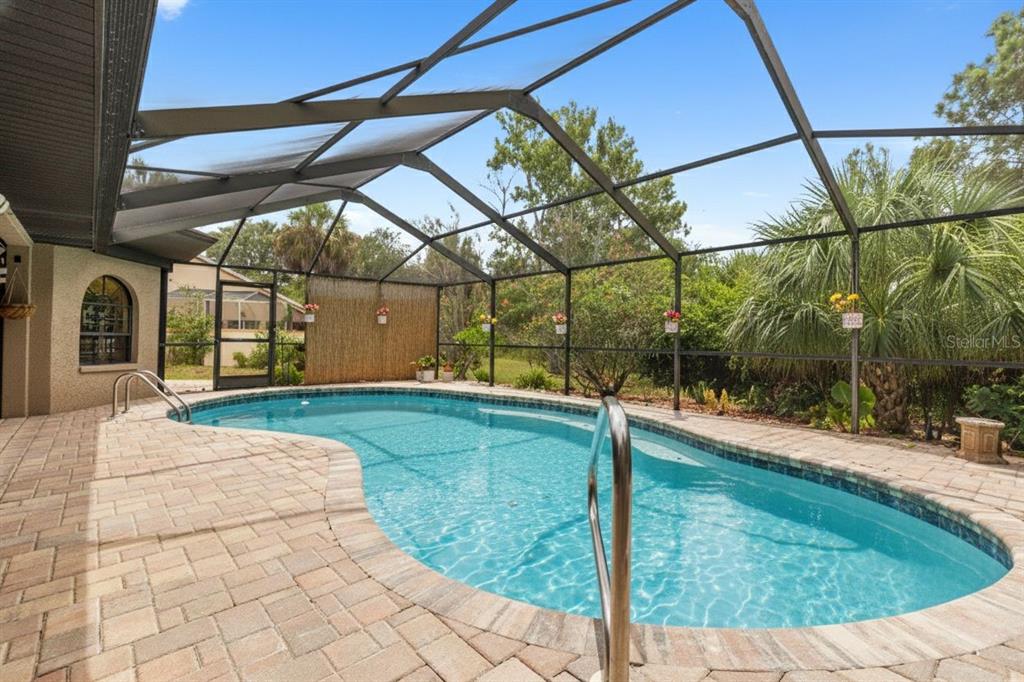 6491 Laurel Oak Drive Spring Hill, FL 34607 - Photo 32 of 46