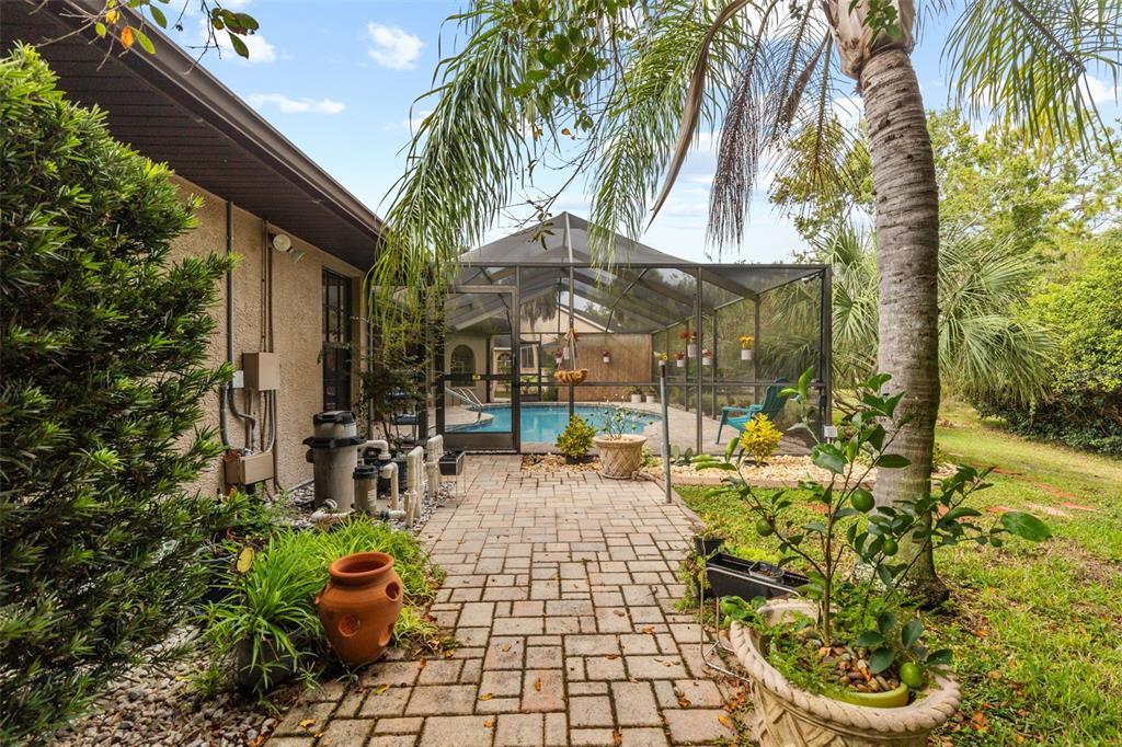 6491 Laurel Oak Drive Spring Hill, FL 34607 - Photo 34 of 46