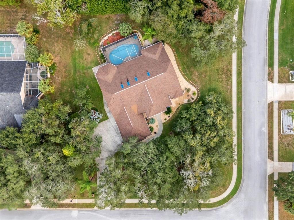 6491 Laurel Oak Drive Spring Hill, FL 34607 - Photo 39 of 46