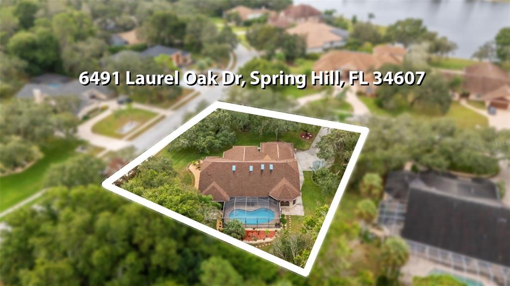 6491 Laurel Oak Drive Spring Hill, FL 34607 - Photo 40 of 46