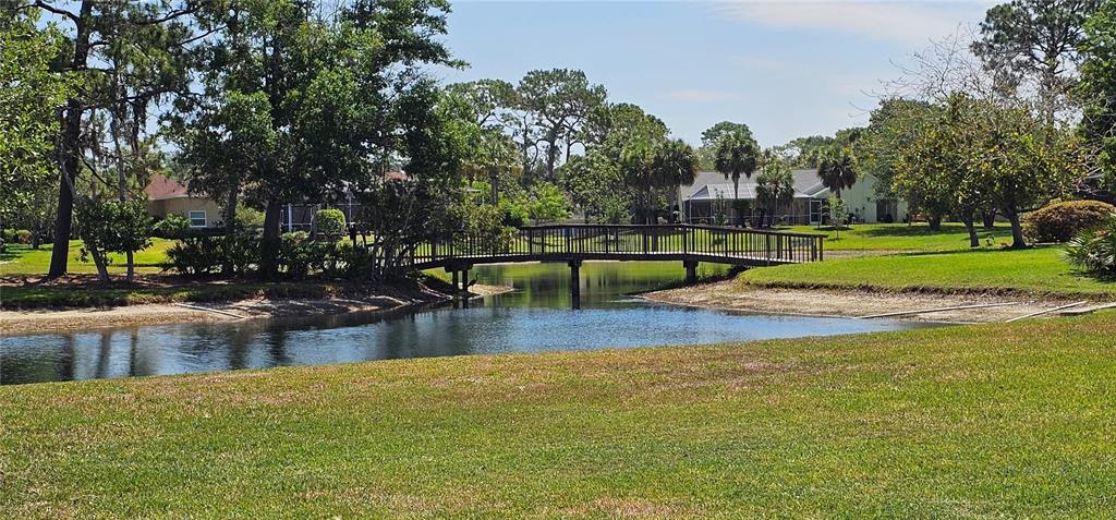 6491 Laurel Oak Drive Spring Hill, FL 34607 - Photo 43 of 46