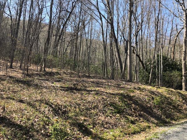 Lot 24 Cullowhee Forest Road Cullowhee, NC 28723 - Photo 1 of 2 Gallery Image 1