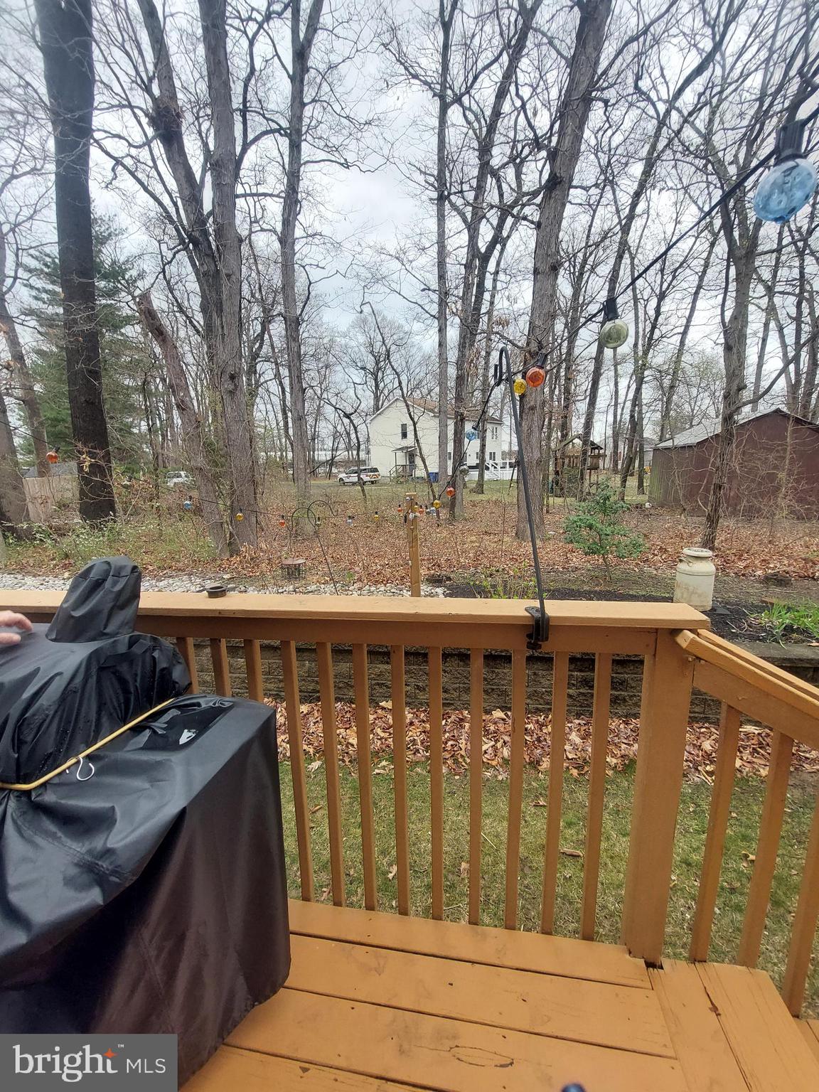 6 Charles Circle Delanco, NJ 08075 - Photo 8 of 21 Rear Deck