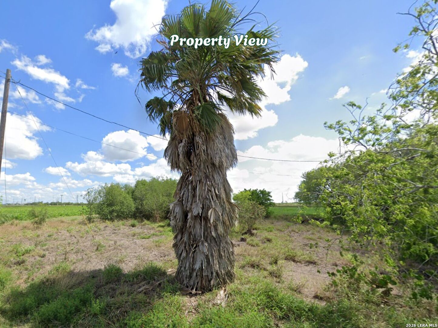 0 High Canal Santa Rosa, TX 78593 - Photo 14 of 23 a view of a flower in a yard