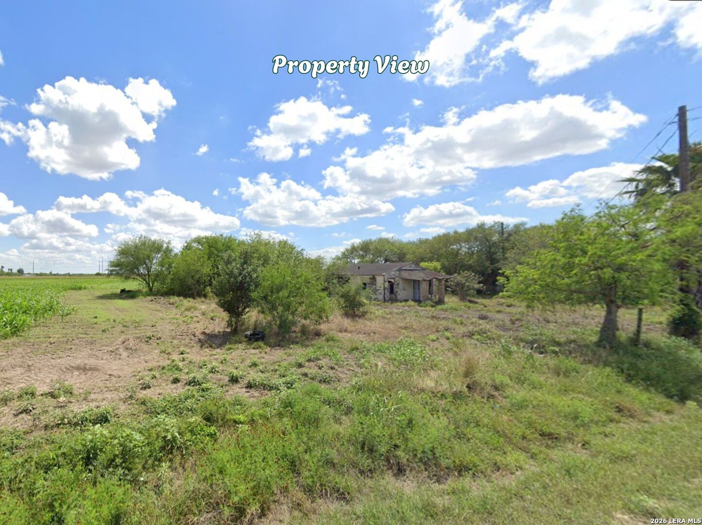 0 High Canal Santa Rosa, TX 78593 - Photo 15 of 23 a view of a field with trees