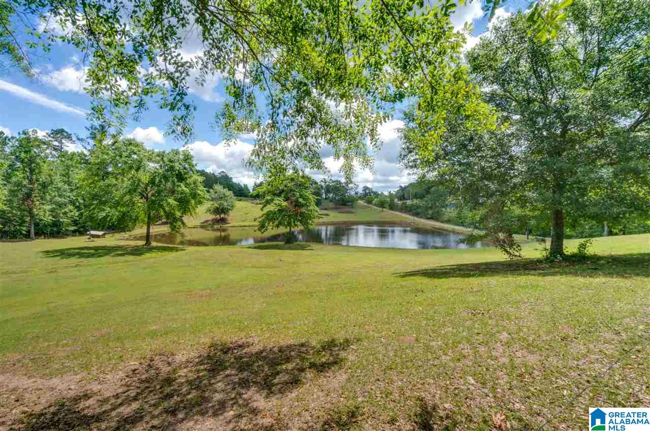 349 County Road 265 Clanton, AL 35046 - Photo 48 of 50