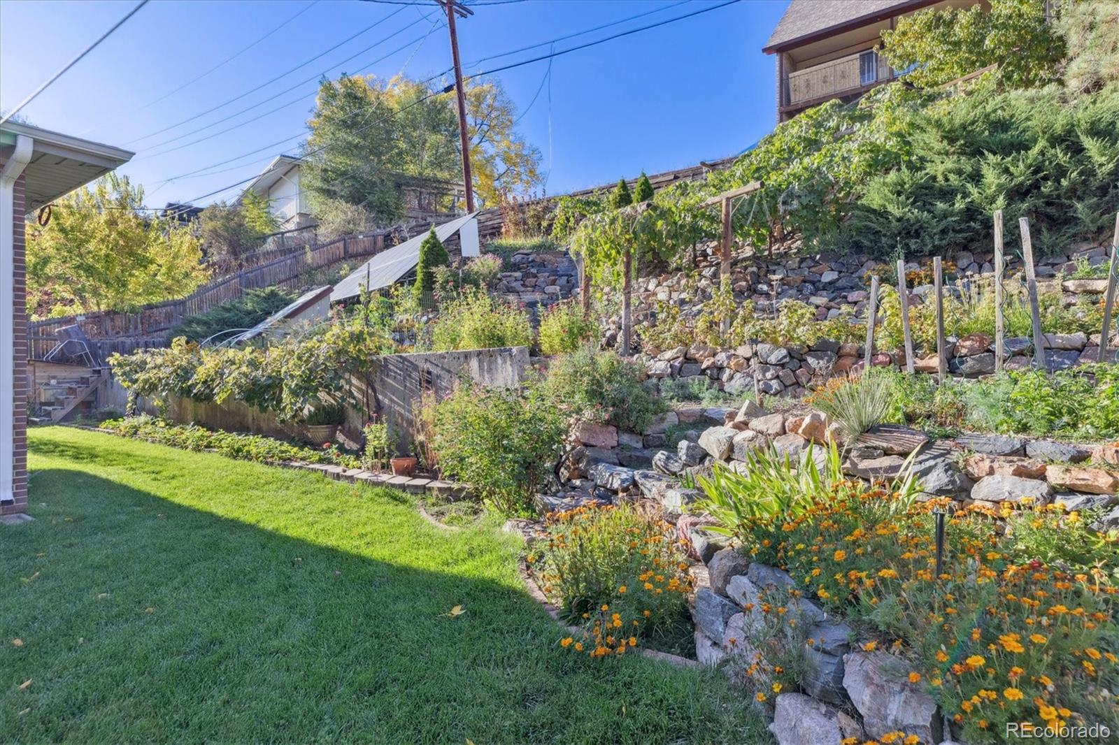 12285 West 34th Place Wheat Ridge, CO 80033 - Photo 33 of 44