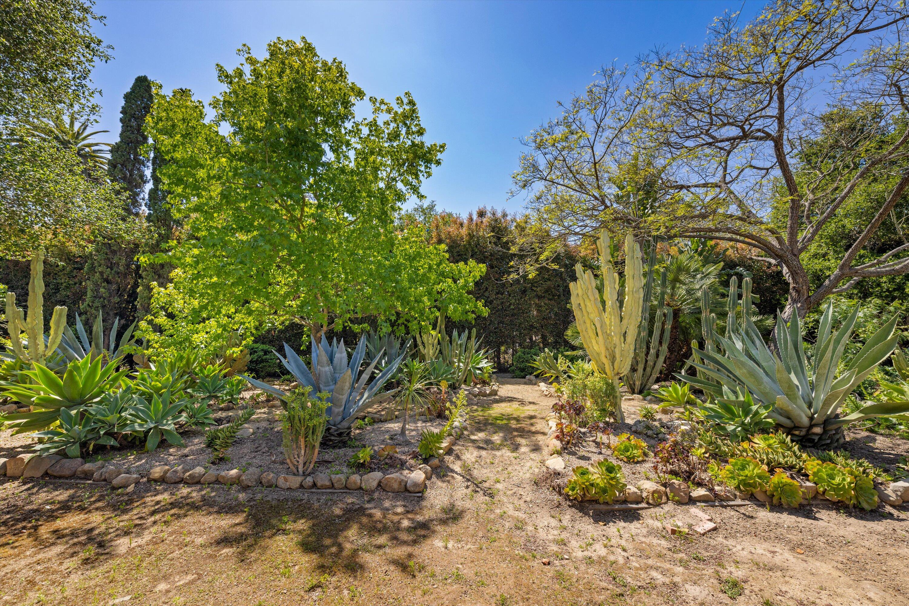 559 Hot Springs Road Montecito, CA 93108 - Photo 1 of 1 Mature landscape