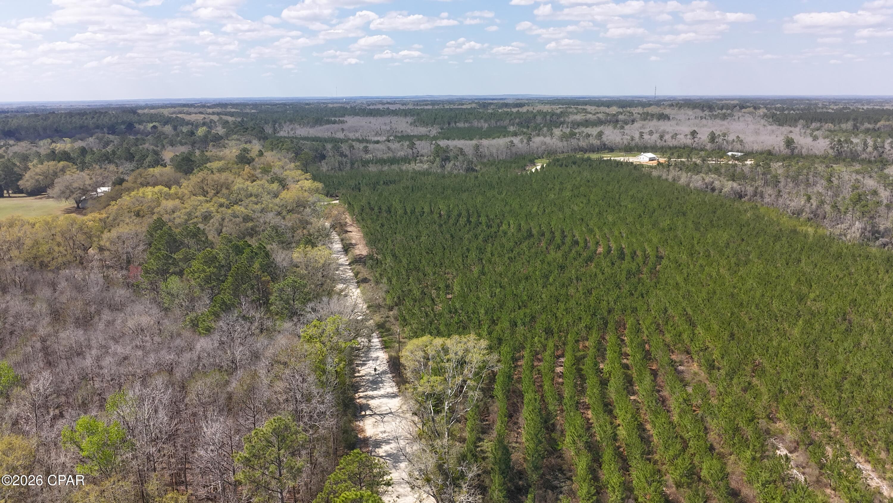 6336 Sand Path Road Bonifay, FL 32425 - Photo 12 of 12