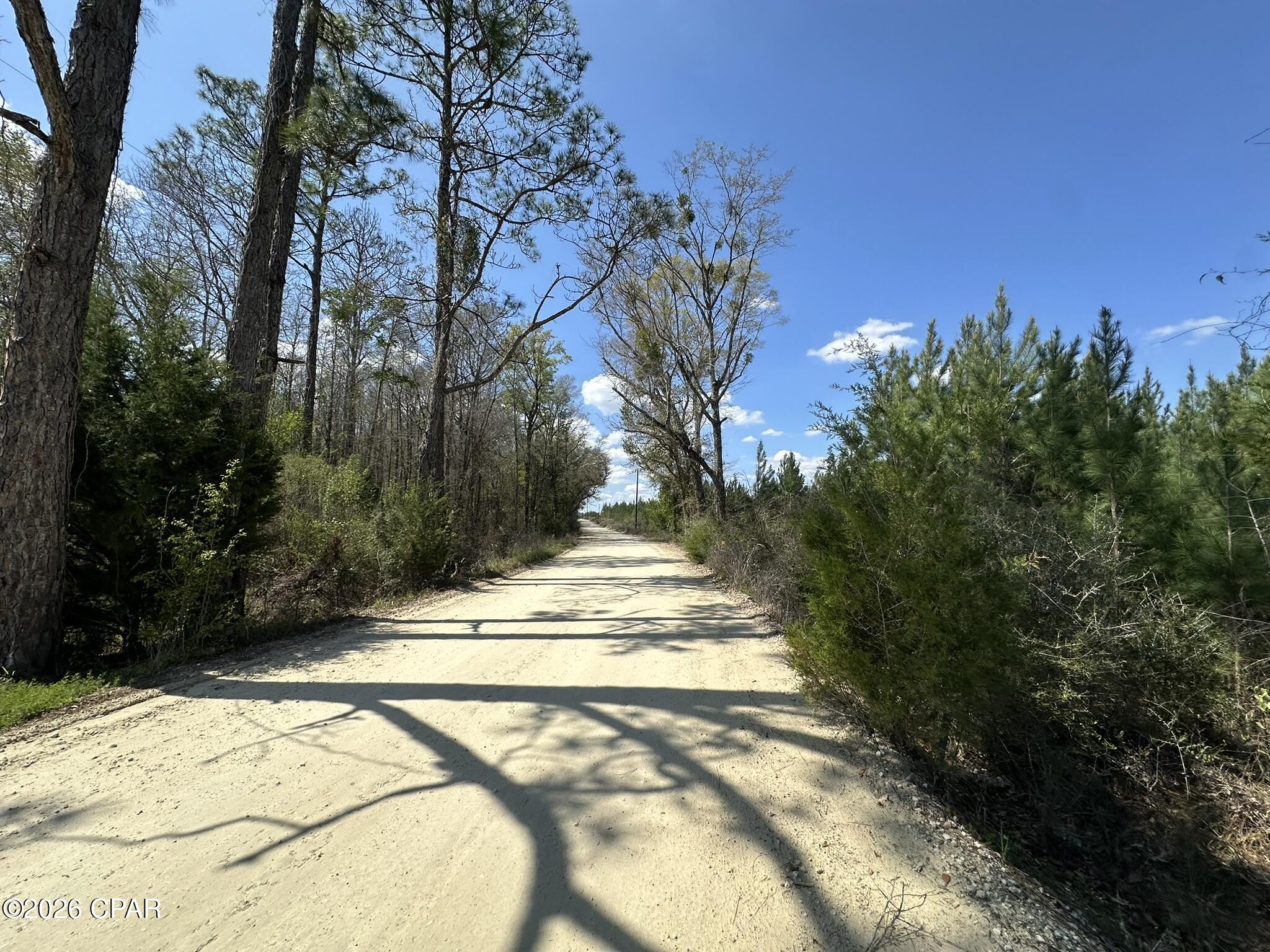 6336 Sand Path Road Bonifay, FL 32425 - Photo 3 of 12