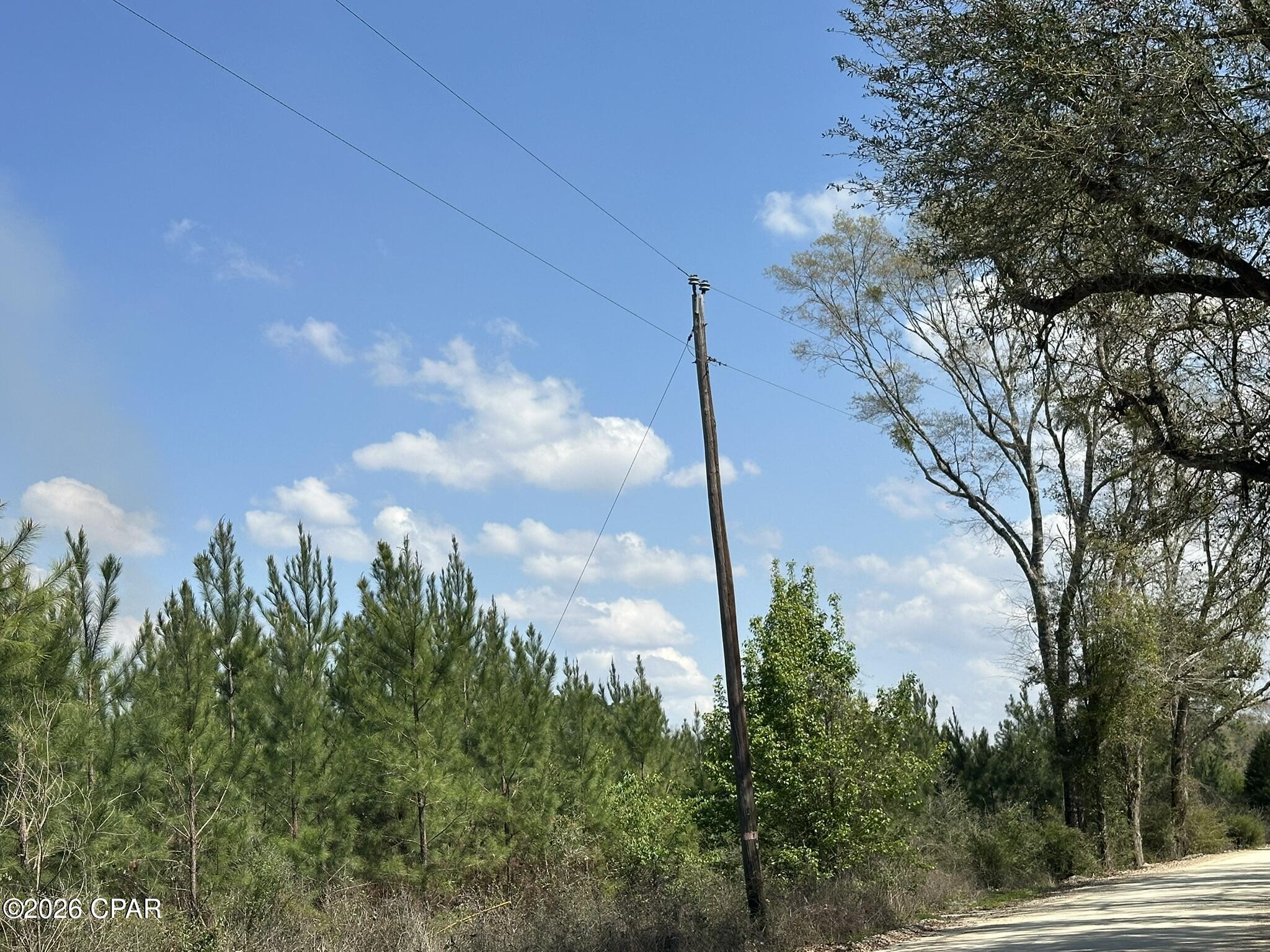 6336 Sand Path Road Bonifay, FL 32425 - Photo 6 of 12