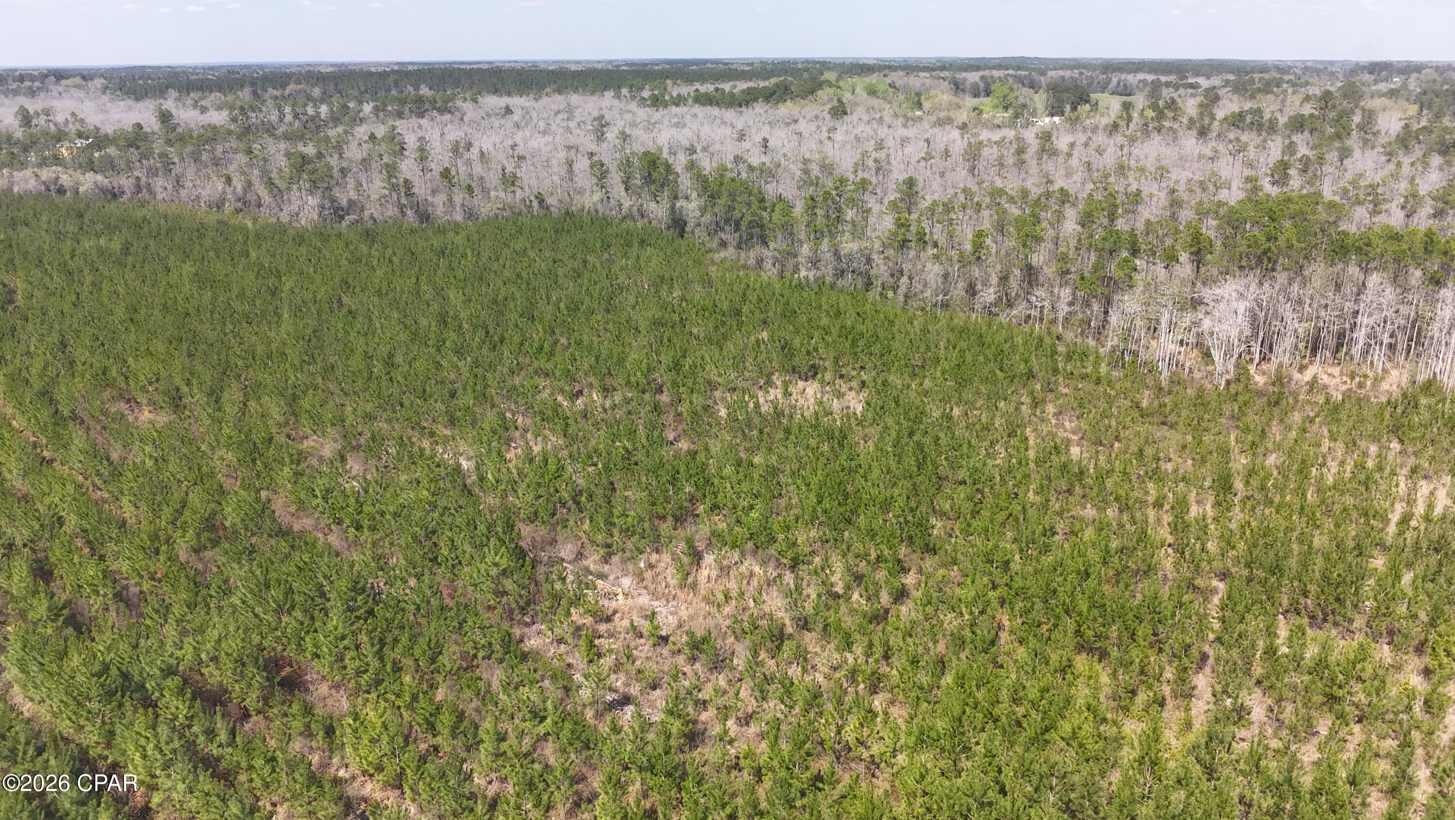 6336 Sand Path Road Bonifay, FL 32425 - Photo 7 of 12