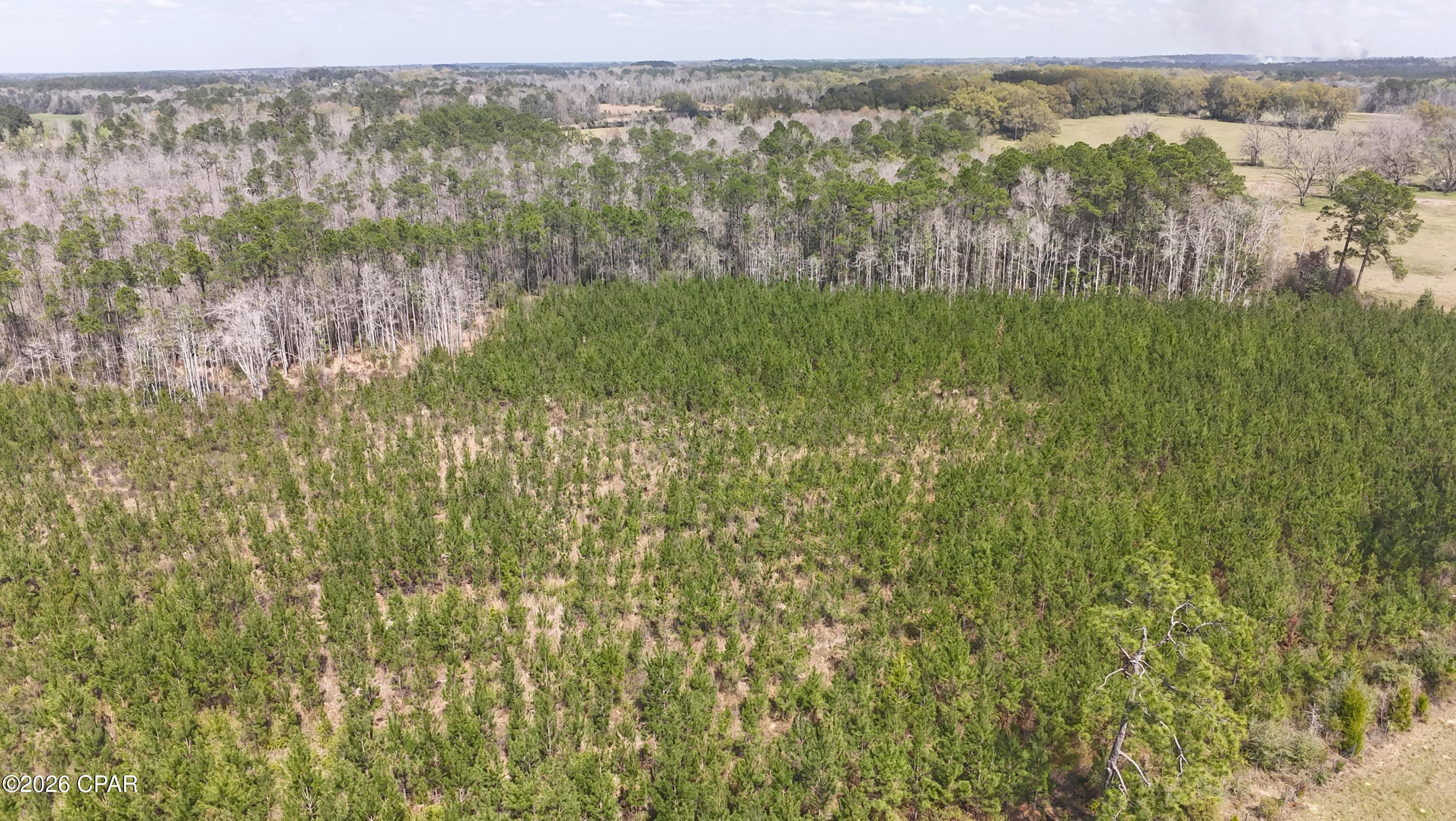 6336 Sand Path Road Bonifay, FL 32425 - Photo 8 of 12