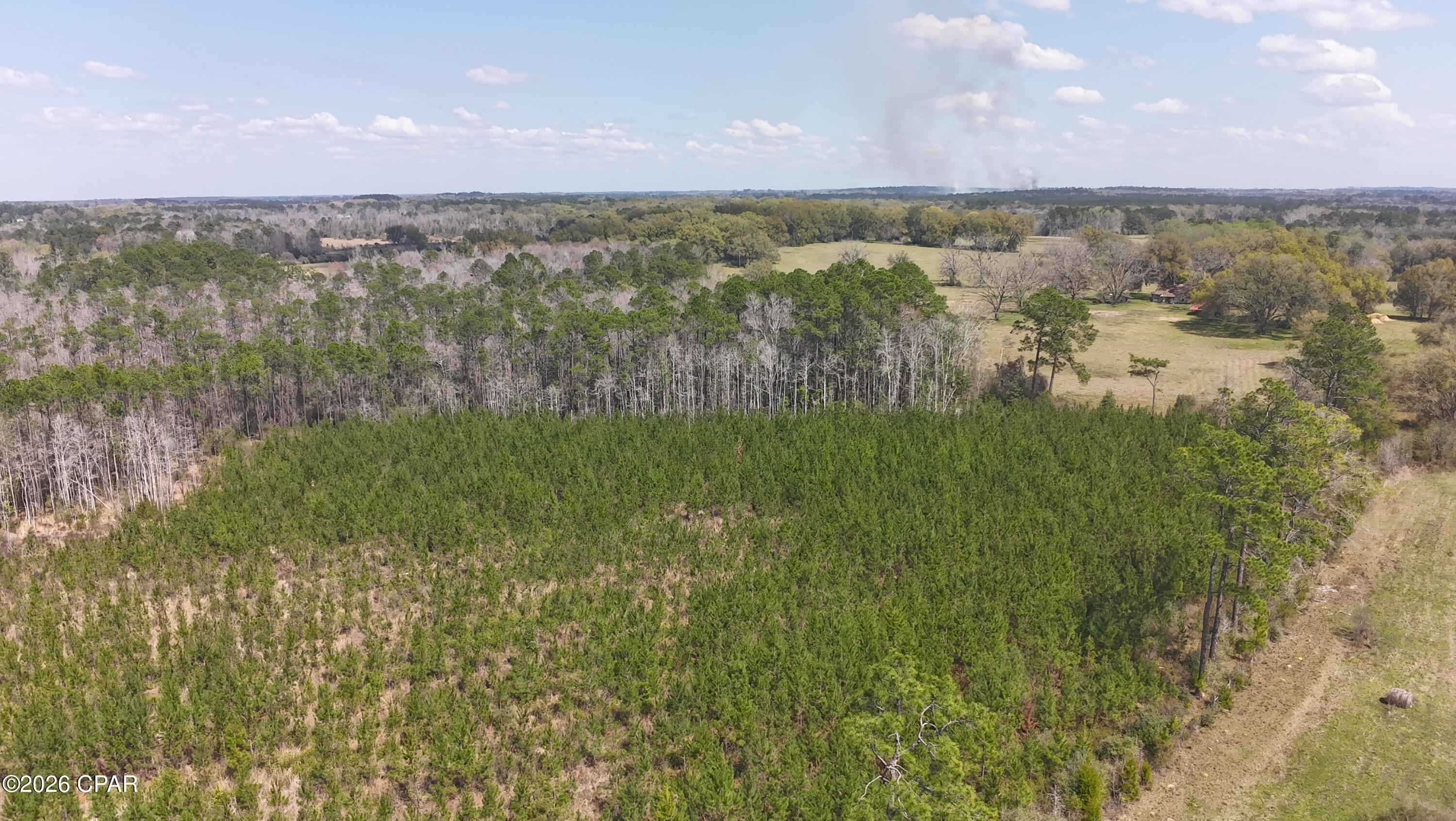 6336 Sand Path Road Bonifay, FL 32425 - Photo 9 of 12