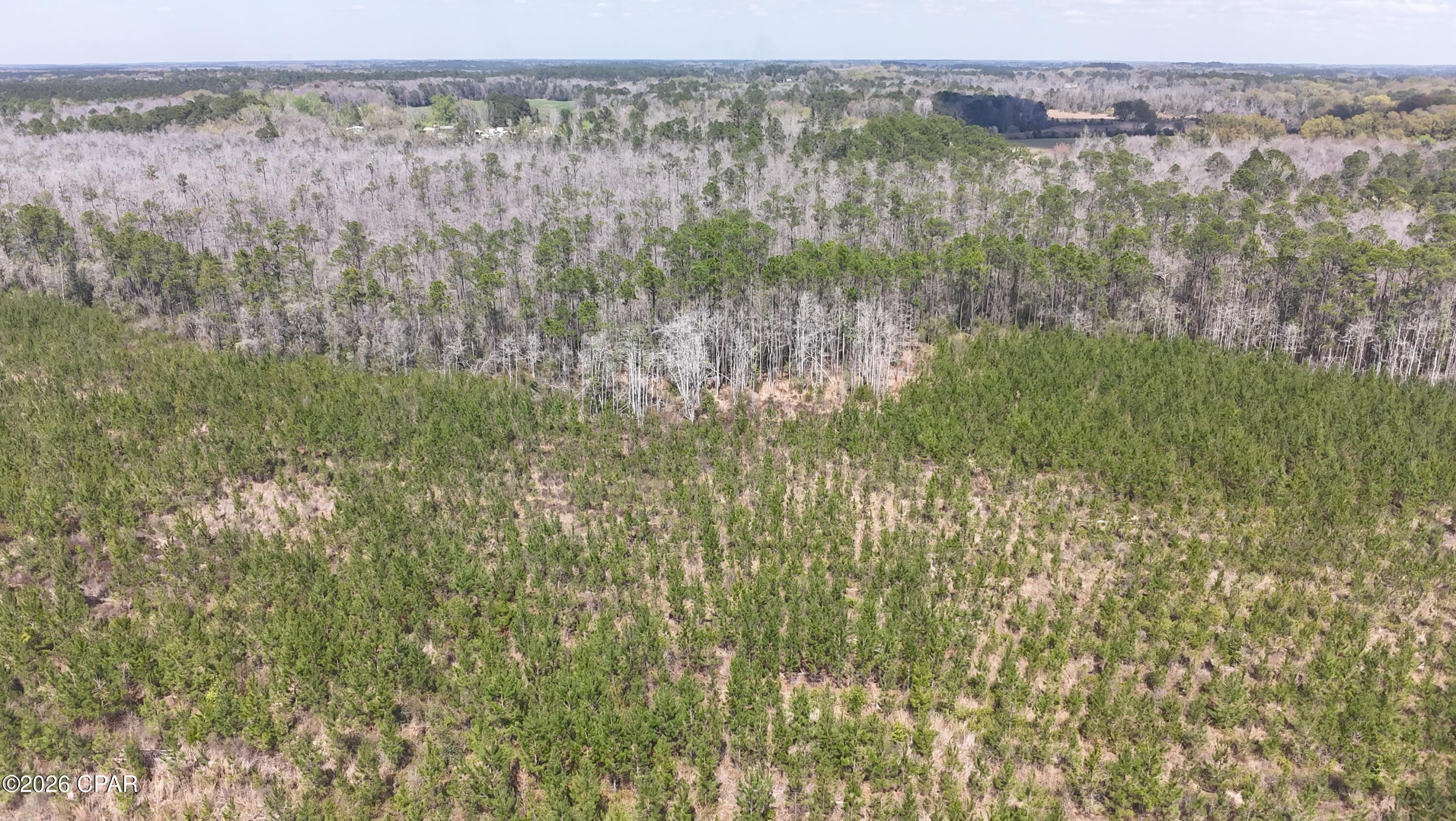 6336 Sand Path Road Bonifay, FL 32425 - Photo 10 of 12