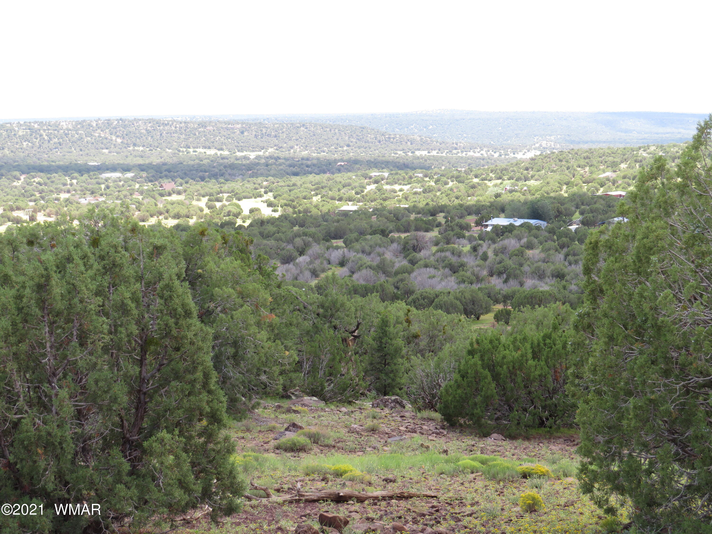 Show Low Show Low Pines Concho, AZ 85924 - Photo 4 of 21